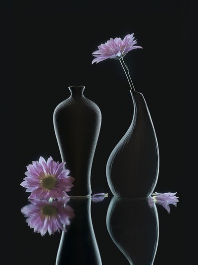  av Alice Sheng