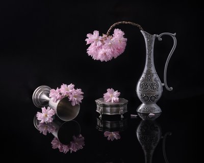  av Alice Sheng