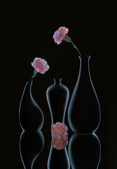  av Alice Sheng