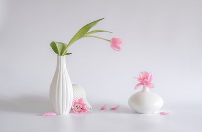  av Alice Sheng