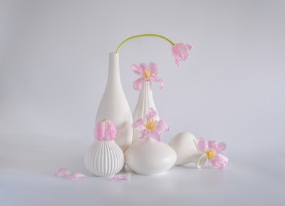  av Alice Sheng