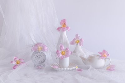  av Alice Sheng