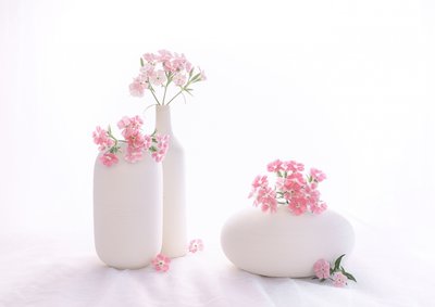  av Alice Sheng