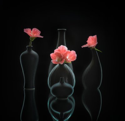  av Alice Sheng