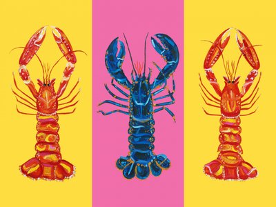 Hummer och havskräftor – Pop Art 2 av Alice Straker