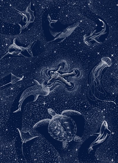 Astronaut Ocean Stars av Alirıza ÇAKIR