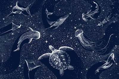 Djur i det kosmiska havet av Alirıza ÇAKIR