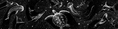 Kosmiska havsdjur av Alirıza ÇAKIR
