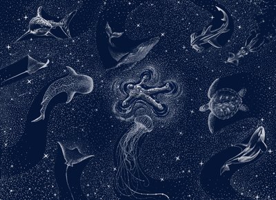 Kosmisk havsdröm av Alirıza ÇAKIR