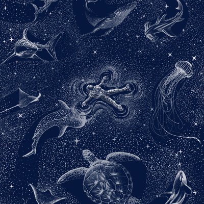 Kosmisk havsresa av Alirıza ÇAKIR