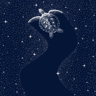 Kosmisk havssköldpadda av Alirıza ÇAKIR
