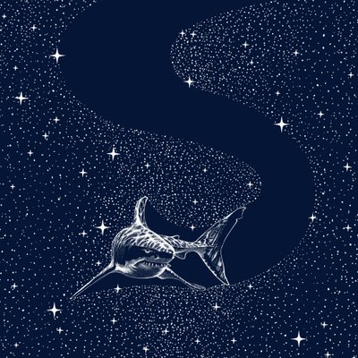 Stora Vita Galaxen av Alirıza ÇAKIR