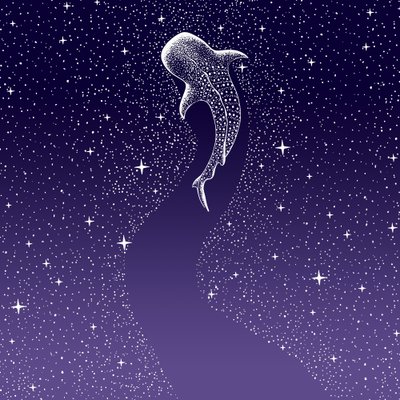 Star Eater – mörkblå till lila tonövergång av Alirıza ÇAKIR