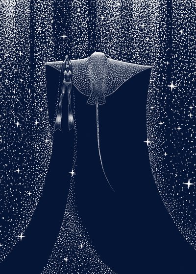 Starlit Ray – en följeslagare av Alirıza ÇAKIR