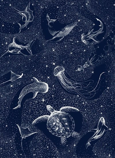 Varelser från Starry Ocean av Alirıza ÇAKIR
