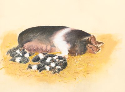 Sadelryggad sugga och smågrisar, 2019 (pastell) av Alison Cooper