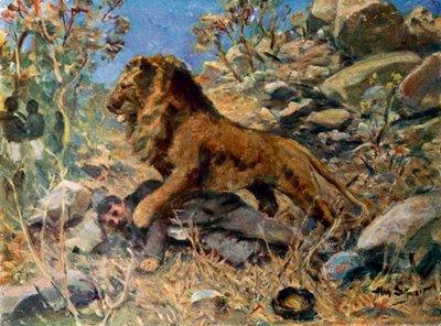 David Livingstone, Livingstone och lejonet (färg litho) av Allan (after) Stewart