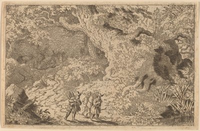 En tjock skog av Allart van Everdingen