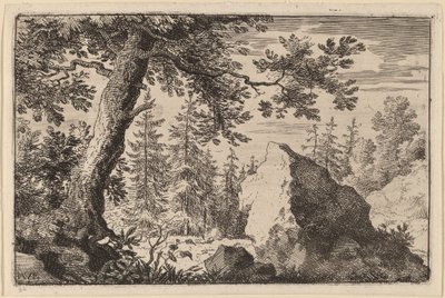 Boulder i skogen av Allart van Everdingen
