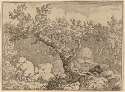 Idrottsman nära ett stort träd, förmodligen ca. 16451656. av Allart van Everdingen