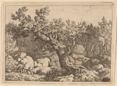 Idrottsman nära ett stort träd, förmodligen ca. 16451656. av Allart van Everdingen