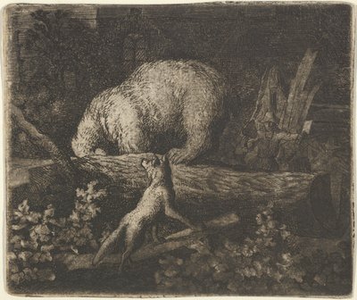 Björnen med sin nos och framtassar fångad i stammen på ett träd, mitten av 1600-talet. av Allart van Everdingen