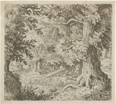 Bäcken i skogen, 1600-talet. av Allart van Everdingen