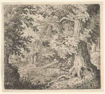 Bäcken i skogen, 1600-talet. av Allart van Everdingen