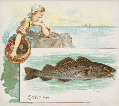 Codfish, från Fish från American Waters serie N39 för Allen & Ginter Cigarettes, 1889. av Allen and Ginter