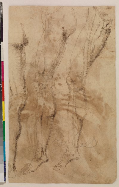 Tre studier av ett manligt ben (verso) c.1537 (penna och brunt bläck på lagt papper) [se 5948317] av Alonso (workshop of) Berruguete