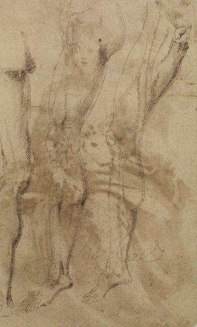 Tre studier av ett manligt ben, c.1637 av Alonso Berruguete