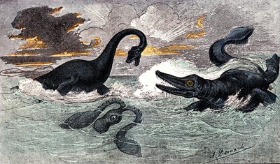 Lias Period (Nedre Jurassic): Plesiosaur och Ichthyosaur, naturlig skapelse och levande varelser (av Jules Renegade) Teckning av A. Demarle. 1885 av Alphonse Demarle