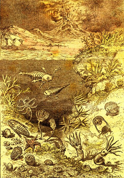 Förhistoria-Slutet av den siluriska perioden: Naturlig skapelse och levande varelser (J. Rengade) Ritning A. Demarle. 1885 av Alphonse Demarle