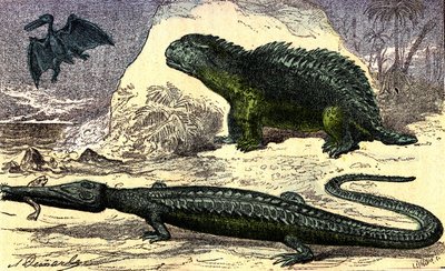 Förhistoria - Juraperioden: Teleosauren och Hyleosauren. Pterodactylen på övervåningen. Naturlig skapelse och levande varelser. Teckning av A. Demarle. 1885 av Alphonse Demarle