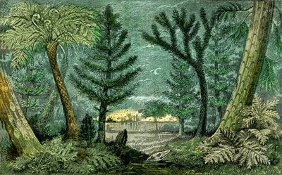 Förhistoria, kolperiod: Marecage och borr av kolperioden (J. Rrengade) av Alphonse Demarle