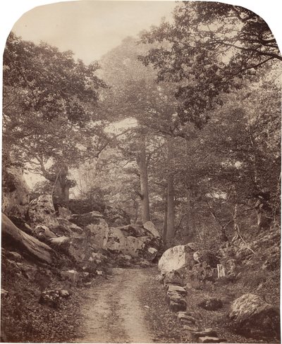 Fontainebleau av Alphonse Jeanrenaud