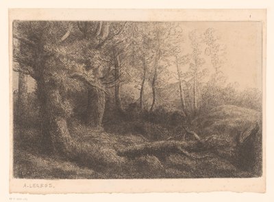 Skogsutsikt av Alphonse Legros (attributed to)