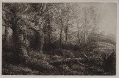 En skogsstudie av Alphonse Legros