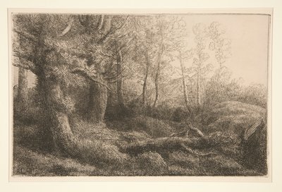 En skogsstudie av Alphonse Legros