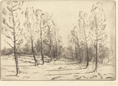 Avenue of Poplars av Alphonse Legros