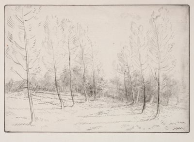 Avenue of Poplars av Alphonse Legros