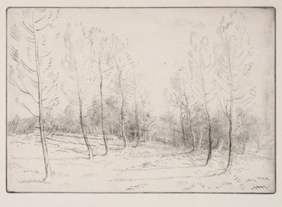 Avenue of Poplars. av Alphonse Legros