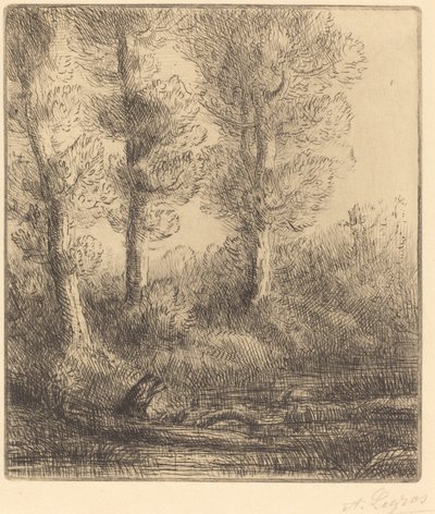 Banks of the Saint-Pre (Rive du Saint-Pre) av Alphonse Legros