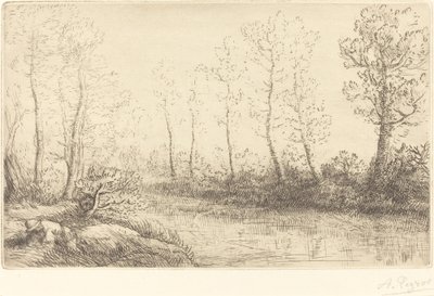 Björkträd: vattenkanten sett i morgonljus av Alphonse Legros
