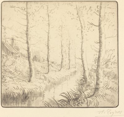 Björkar längs vattnet av Alphonse Legros