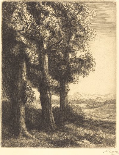 Corner of a Wood (Coin d