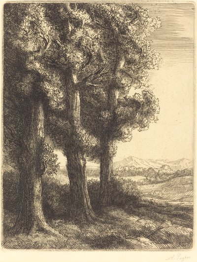 Corner of a Wood (Coin d