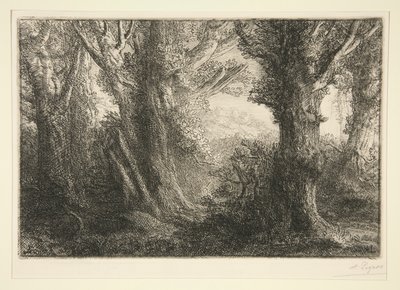 Dans la foret de Conteville (I skogen av Conteville) av Alphonse Legros