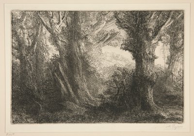 Dans la foret de Conteville (In the Forest of Conteville0 av Alphonse Legros