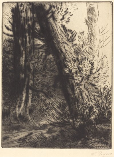 Edge of a Brook (Bord de ruisseau) av Alphonse Legros